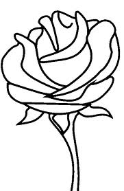 Rose 9